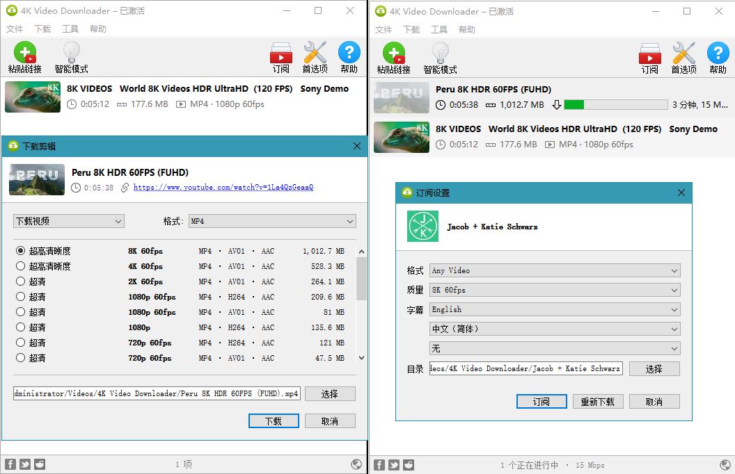4K Video Downloader v4.20.1 4K视频下载器-D42资源网
