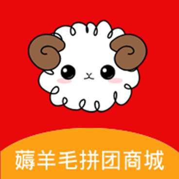 薅羊毛拼团商城V1.1.7多开版+前端-D42资源网